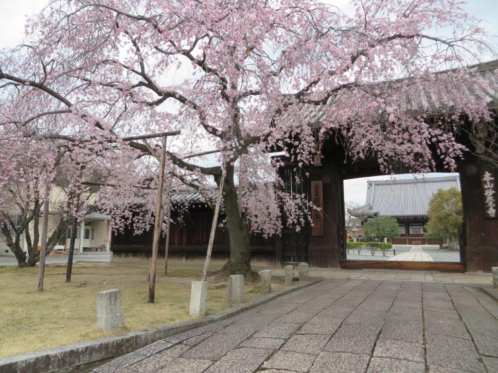 b0208876_1412787.jpg