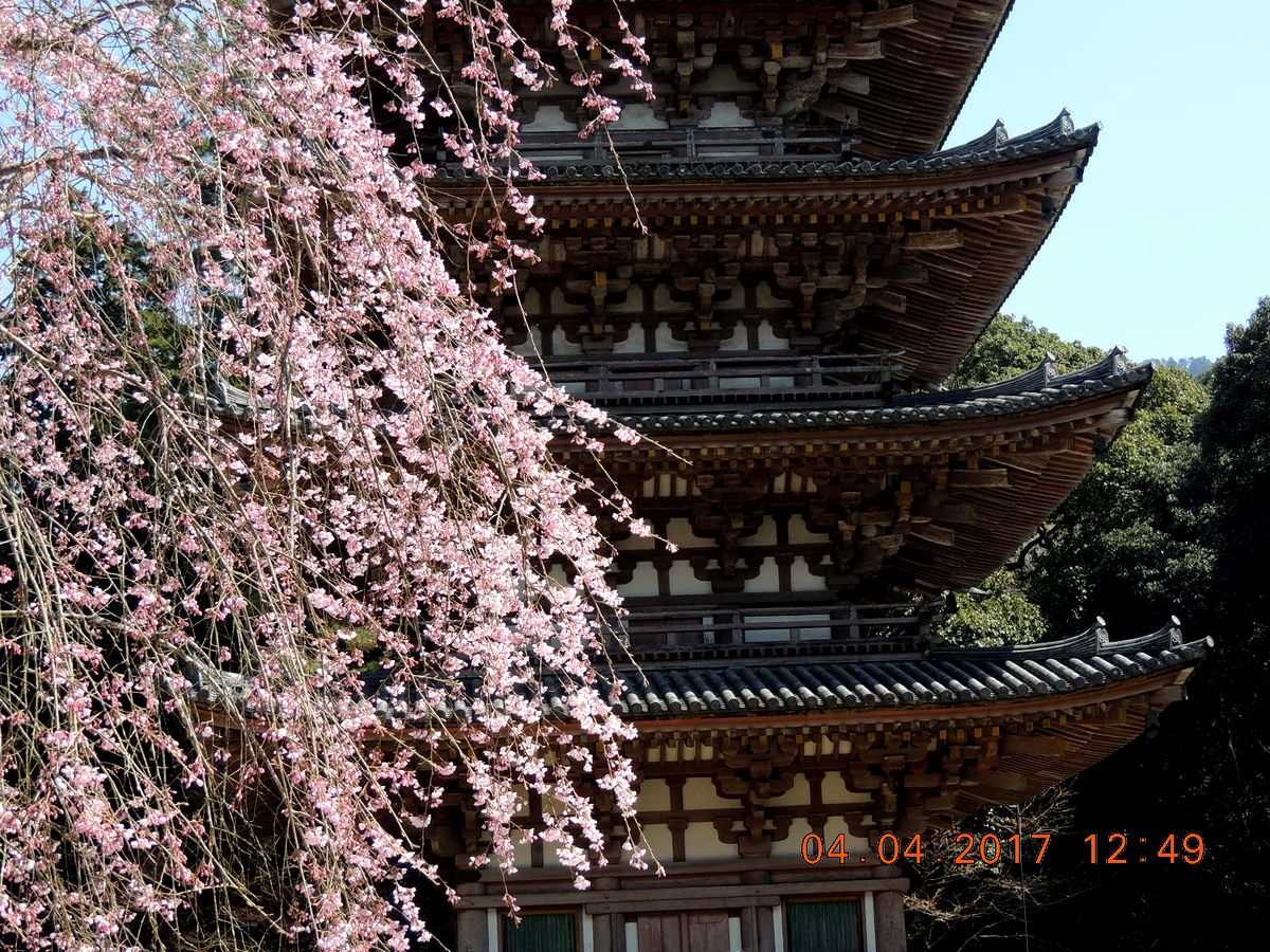 f0104277_15203649.jpg