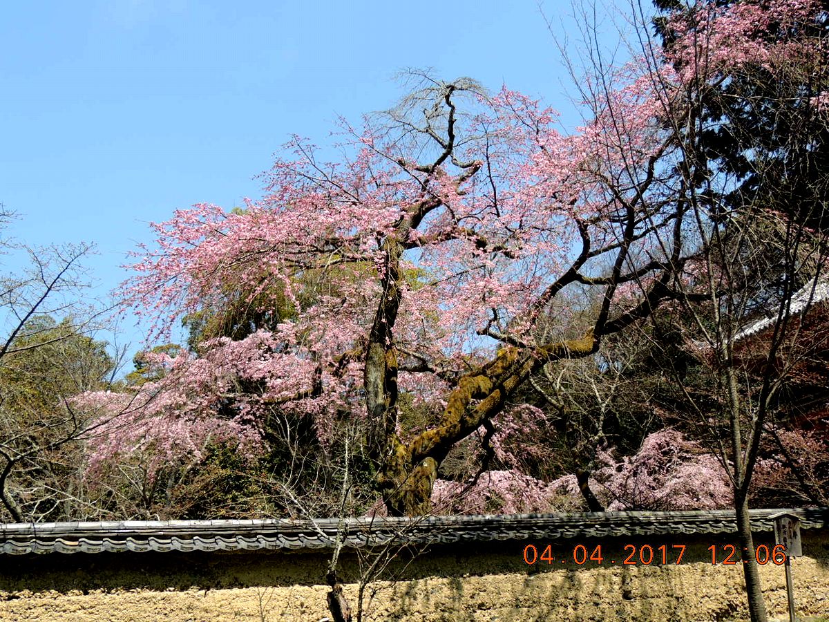 f0104277_15231487.jpg
