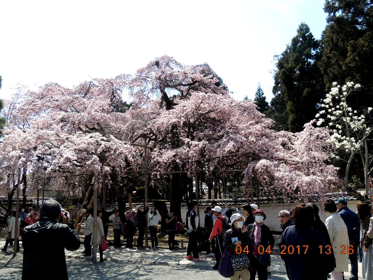 f0104277_15274952.jpg