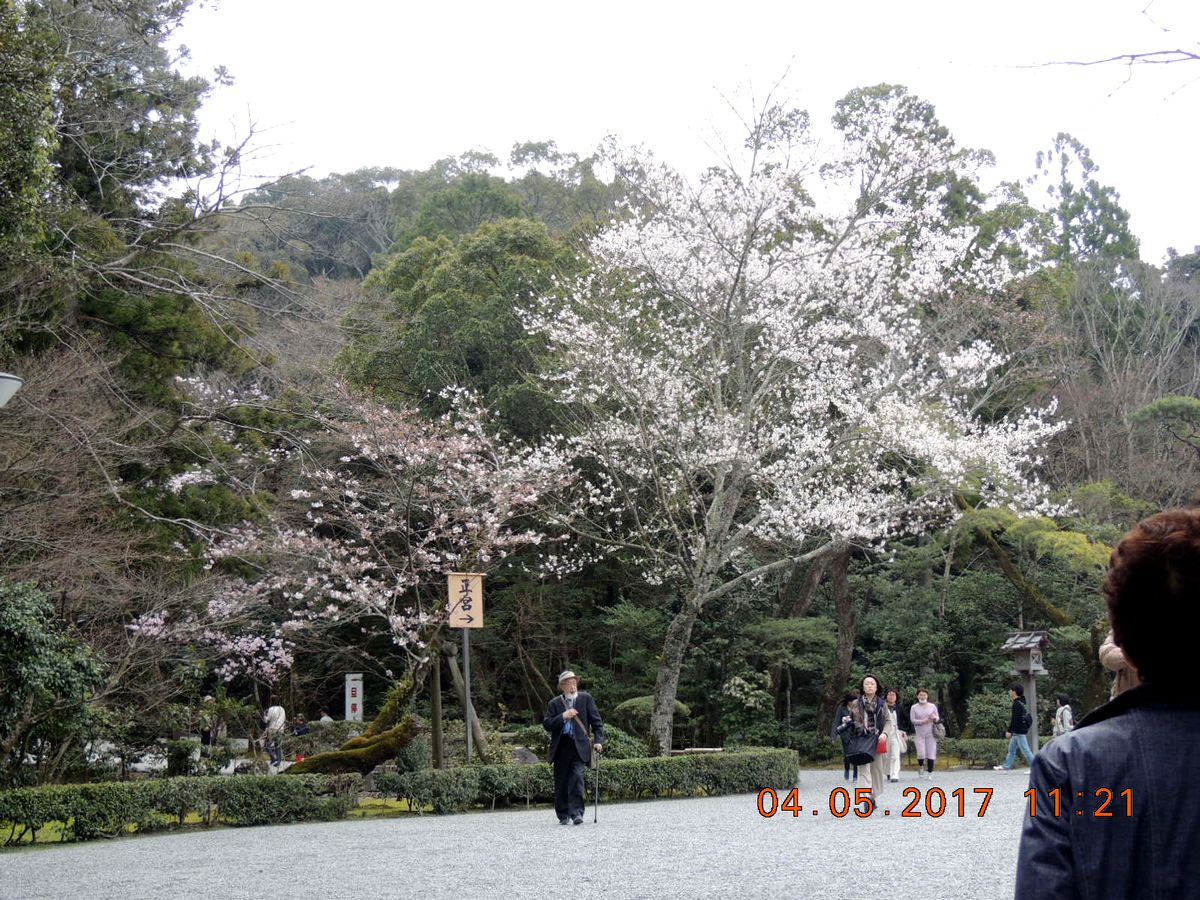 f0104277_1932147.jpg