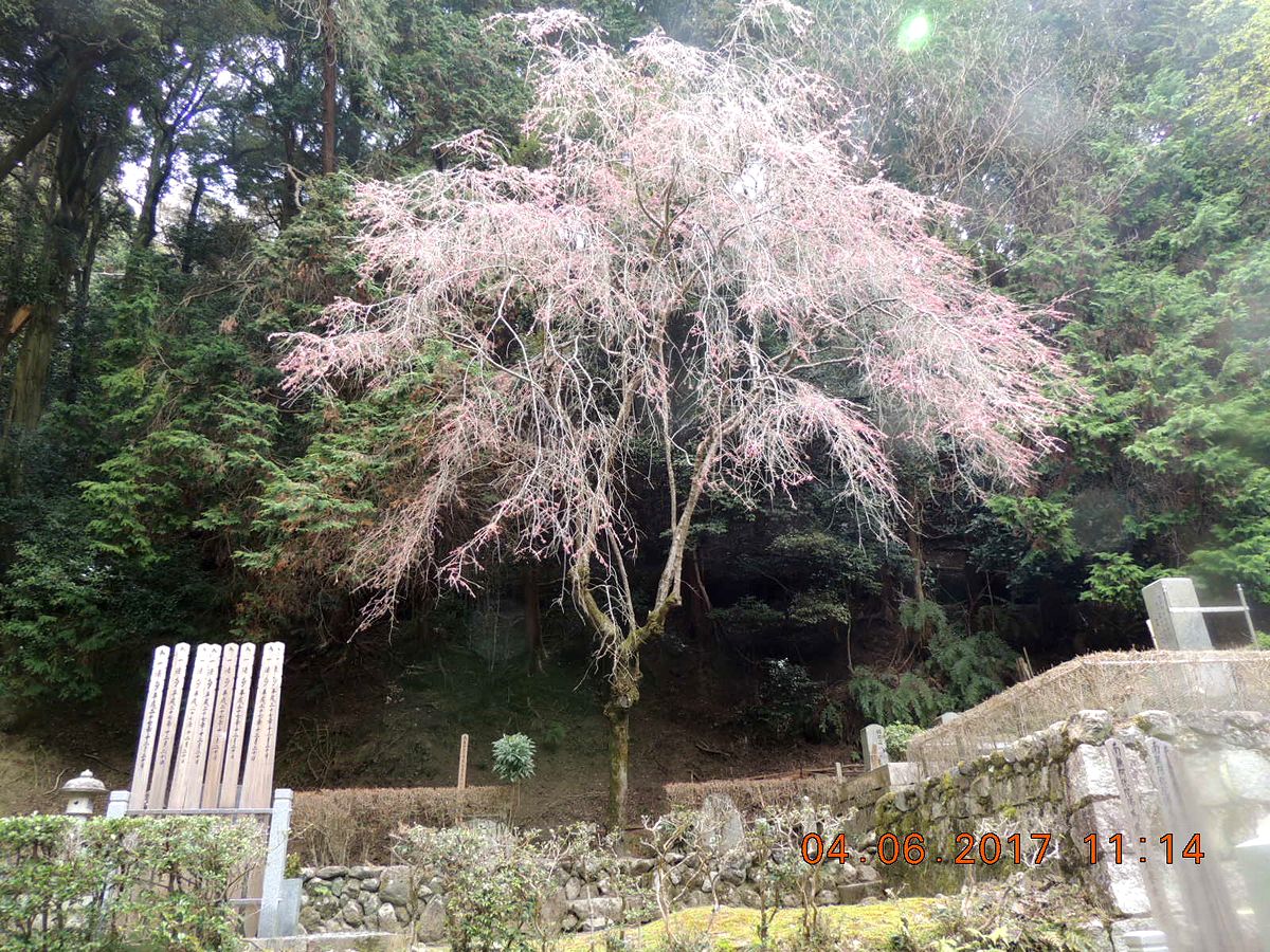 f0104277_20503686.jpg