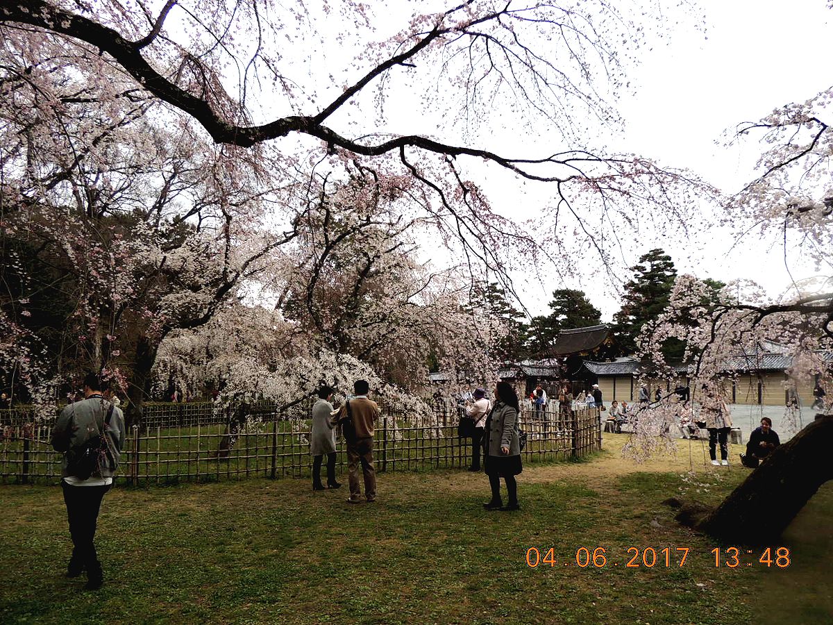 f0104277_20511898.jpg