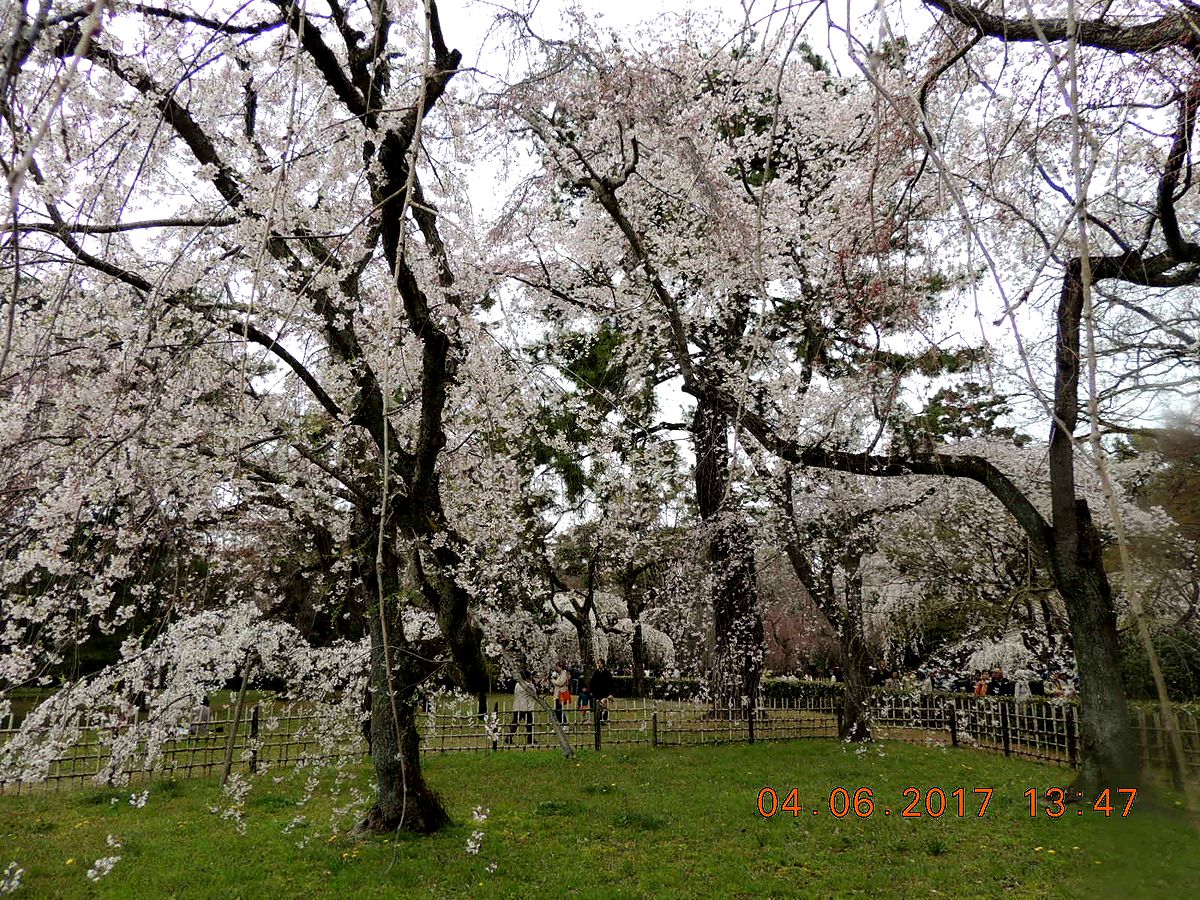 f0104277_20513514.jpg