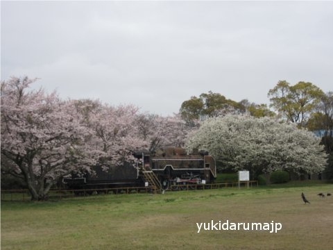 f0055380_23534981.jpg