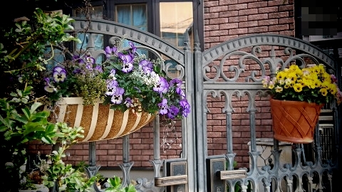 d0098183_09001438.jpg