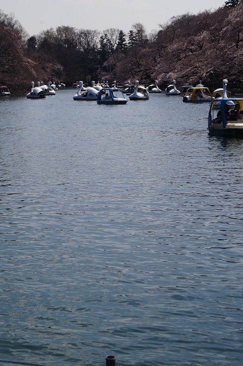 d0129083_14082757.jpg