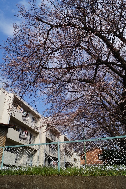 d0129083_14275136.jpg