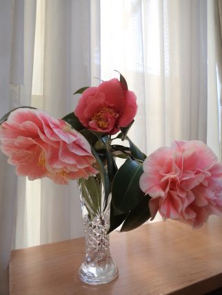 b0207284_0103766.jpg