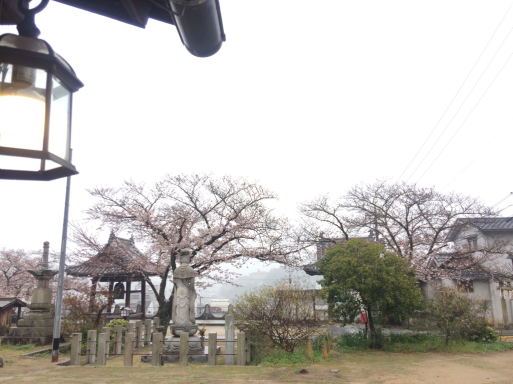 d0096585_19121304.jpg