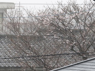 e0130185_1337390.jpg