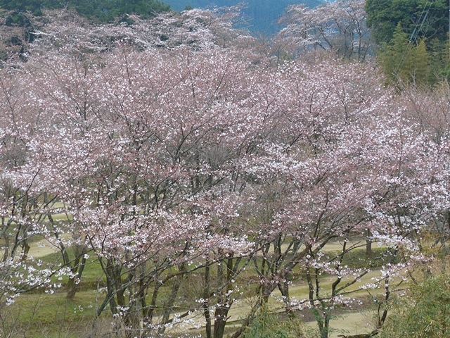 f0357487_00105562.jpg