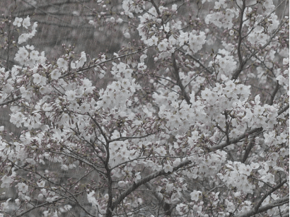 f0357487_00135537.gif