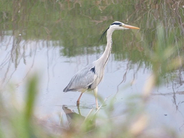 f0357487_00155019.jpg