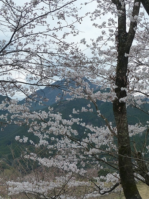 f0357487_00214194.jpg
