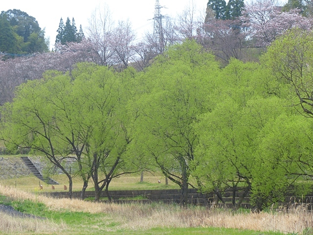 f0357487_00231554.jpg