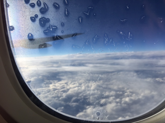 c0064389_2163987.jpg