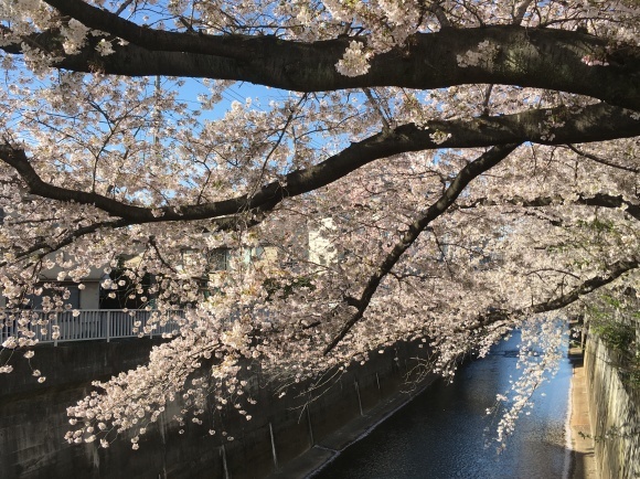 c0123890_19193795.jpg
