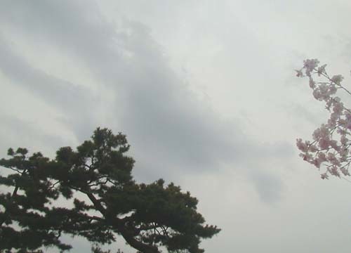d0053294_01054701.jpg