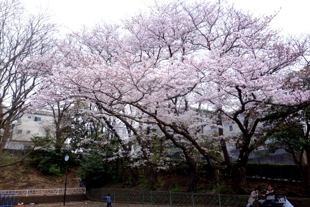 f0137694_17154063.jpg