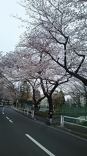 d0237399_09060299.jpg
