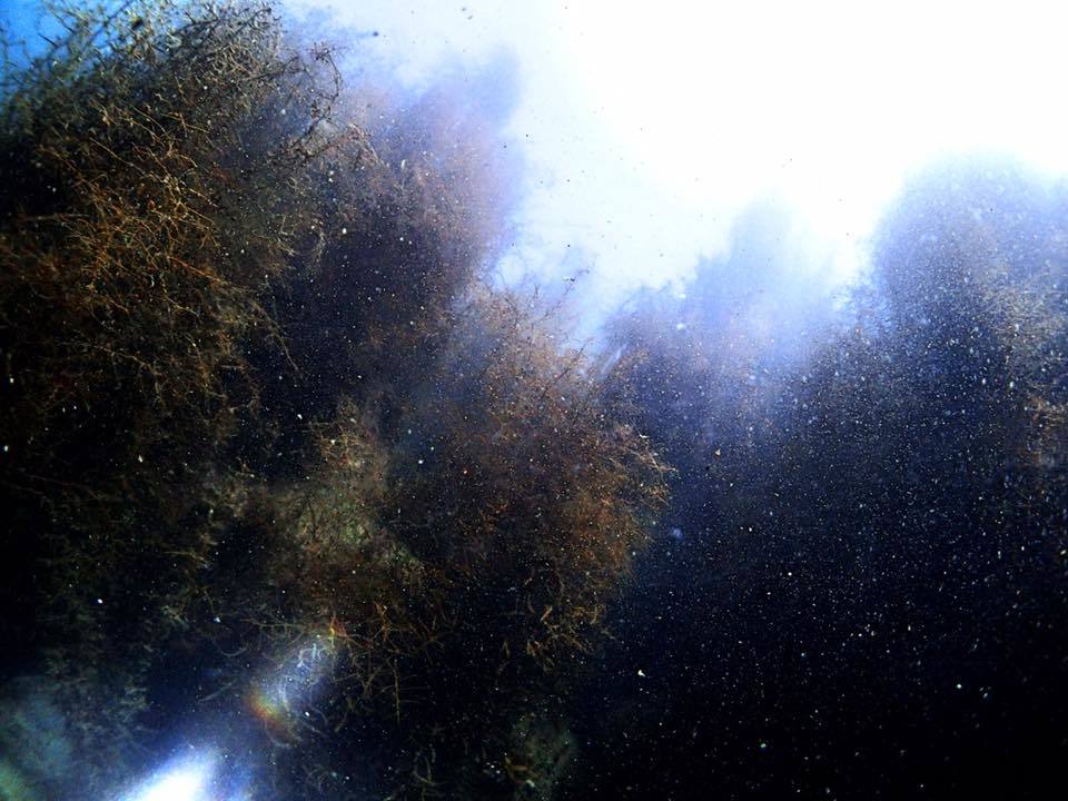 e0115199_13461636.jpg