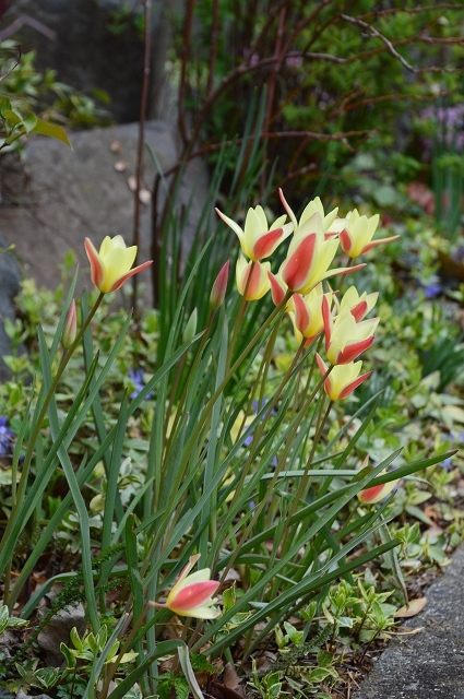 c0124100_00514358.jpg