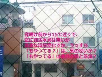 d0051601_21184666.jpg