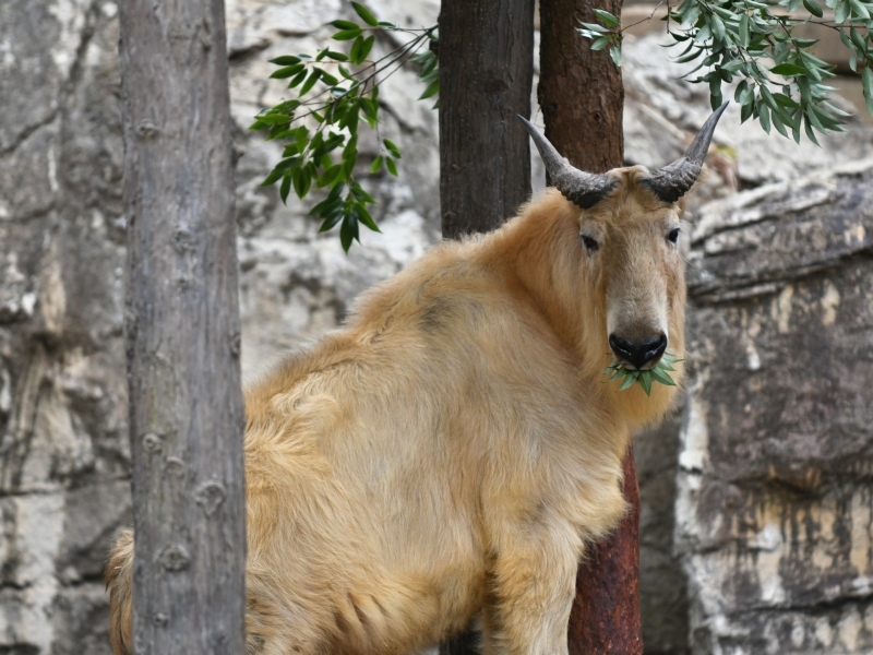a0164204_08242305.jpg