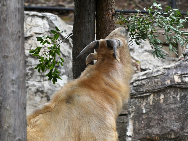 a0164204_08261431.jpg