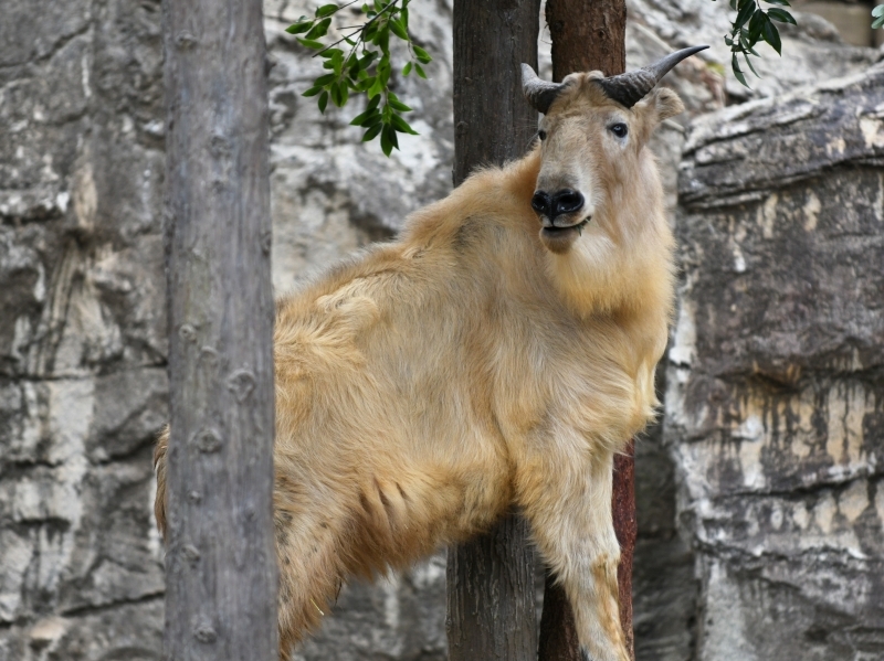 a0164204_08261463.jpg