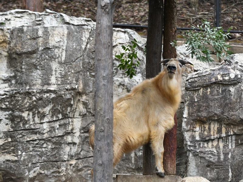 a0164204_08261489.jpg