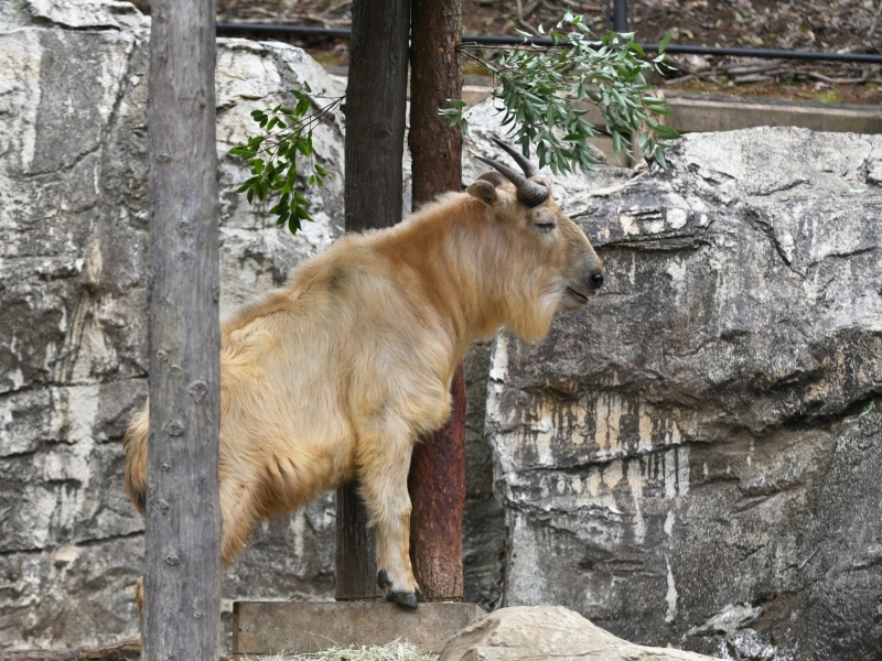 a0164204_08302488.jpg