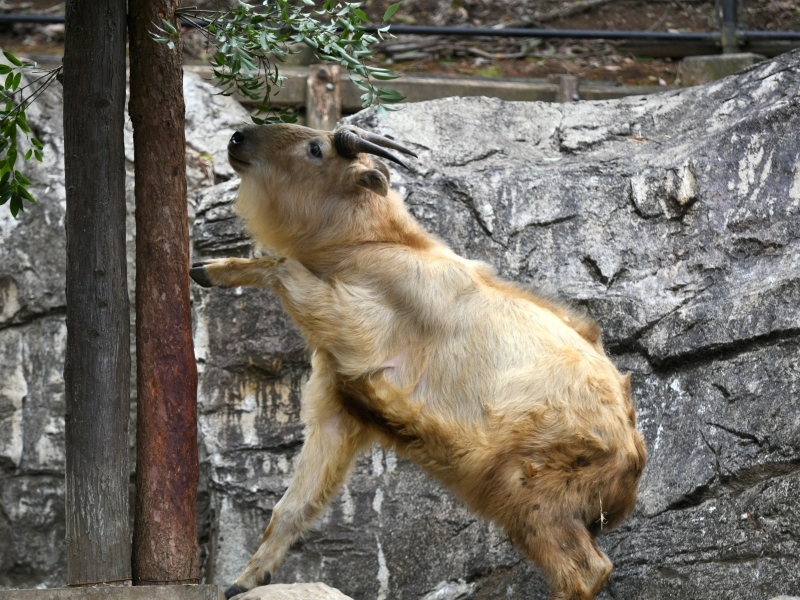 a0164204_08340912.jpg