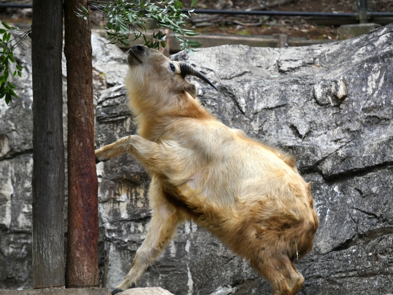 a0164204_08340924.jpg