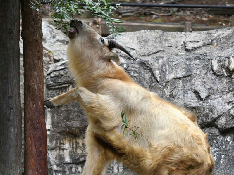 a0164204_08365990.jpg