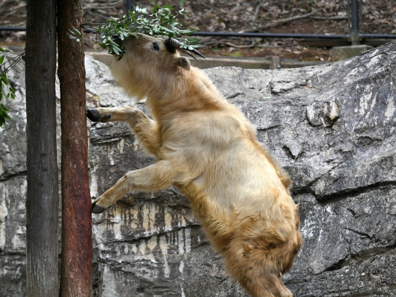 a0164204_08370051.jpg