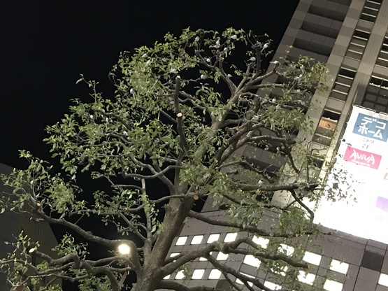 c0212604_7162113.jpg