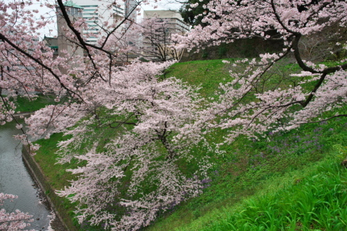 a0263109_17191133.jpg