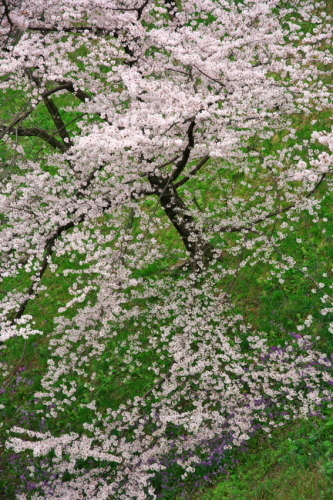 a0263109_17191180.jpg