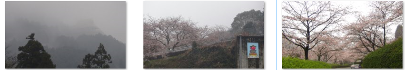 f0231709_1833376.png
