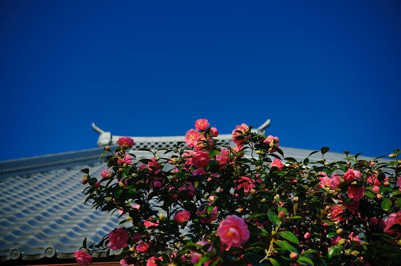 f0032011_16300209.jpg