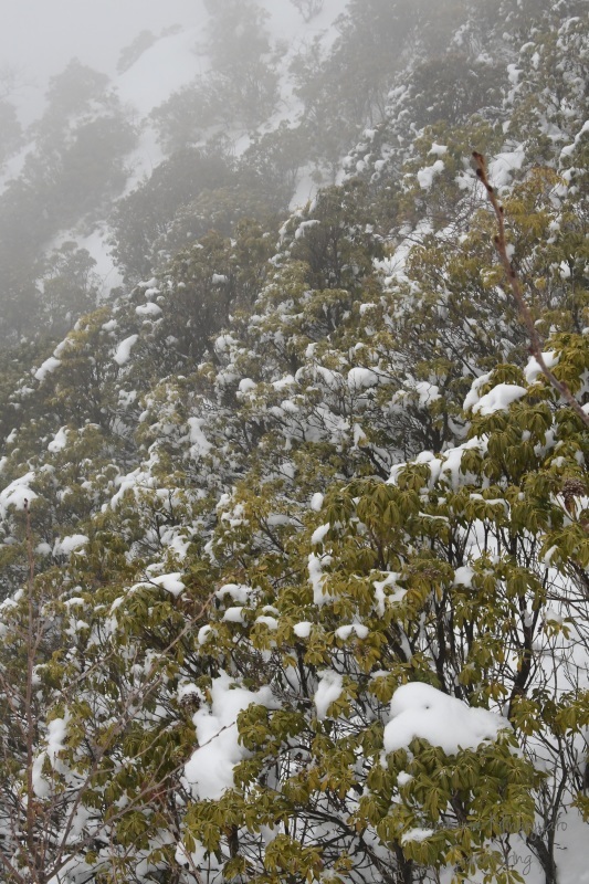 b0223512_00390305.jpg