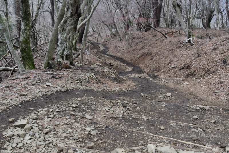 b0223512_00530666.jpg