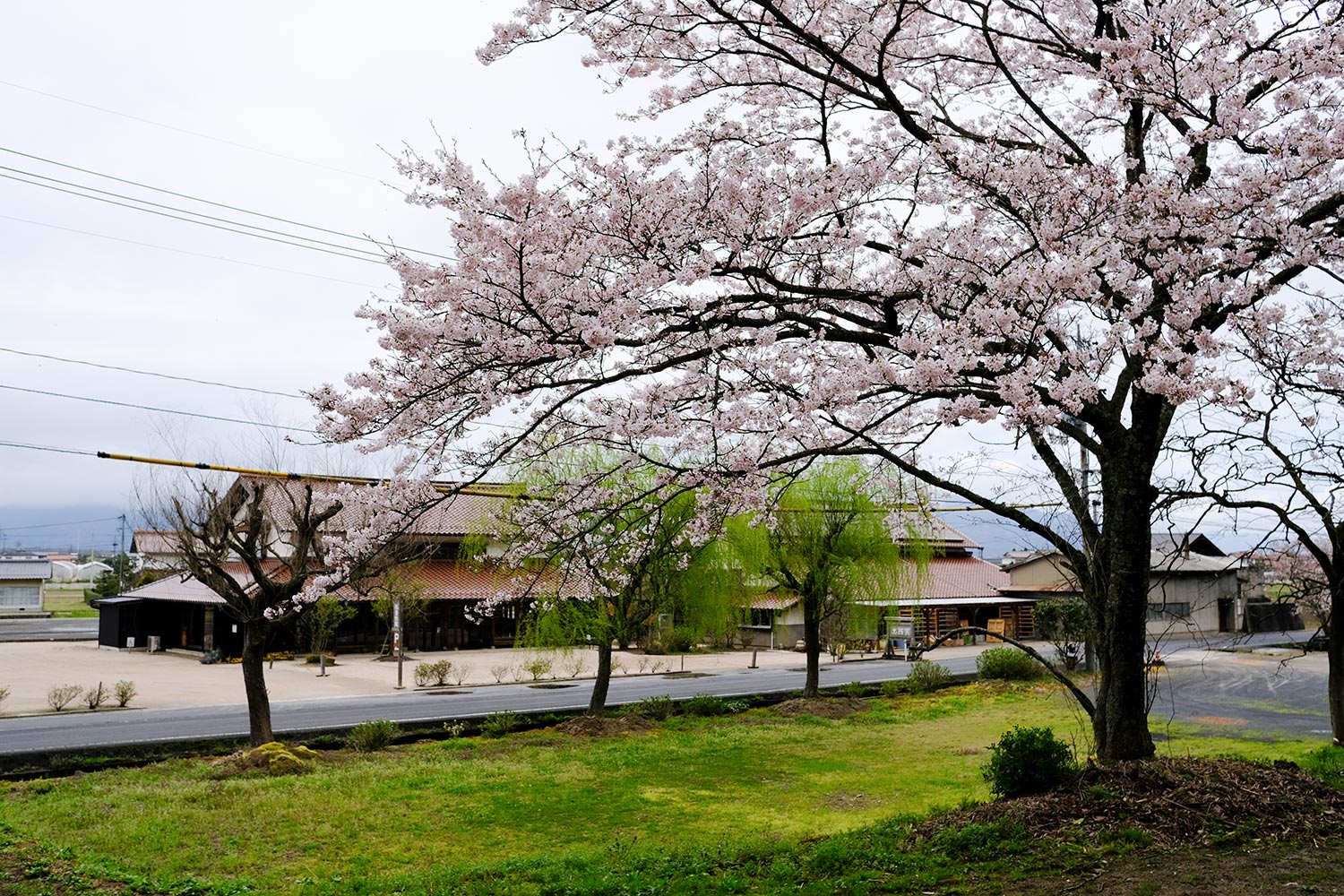 b0189415_850332.jpg