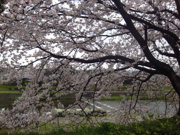 c0352015_22024163.jpg