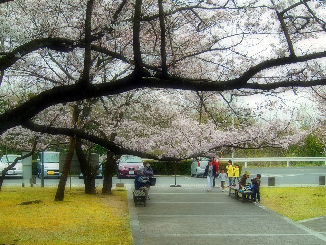 d0295818_00232635.jpg