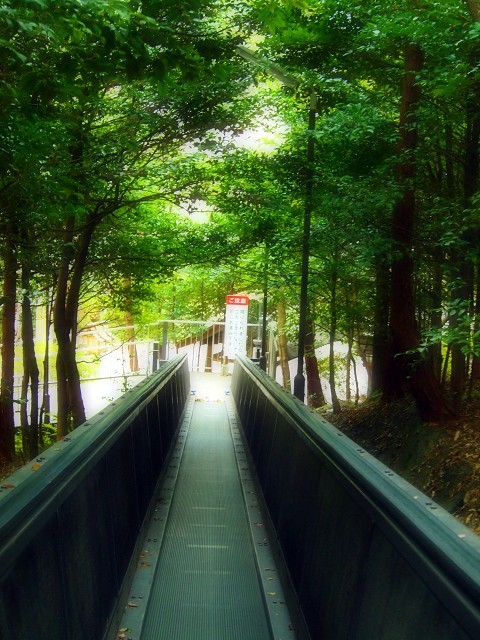 d0295818_00233385.jpg