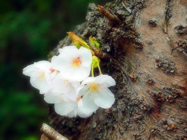 d0295818_11021879.jpg