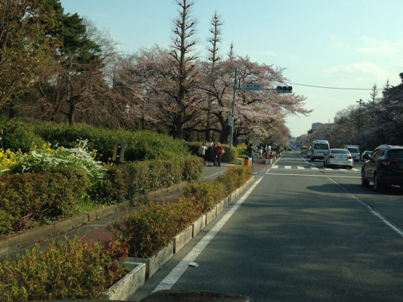 d0165420_14595542.jpg